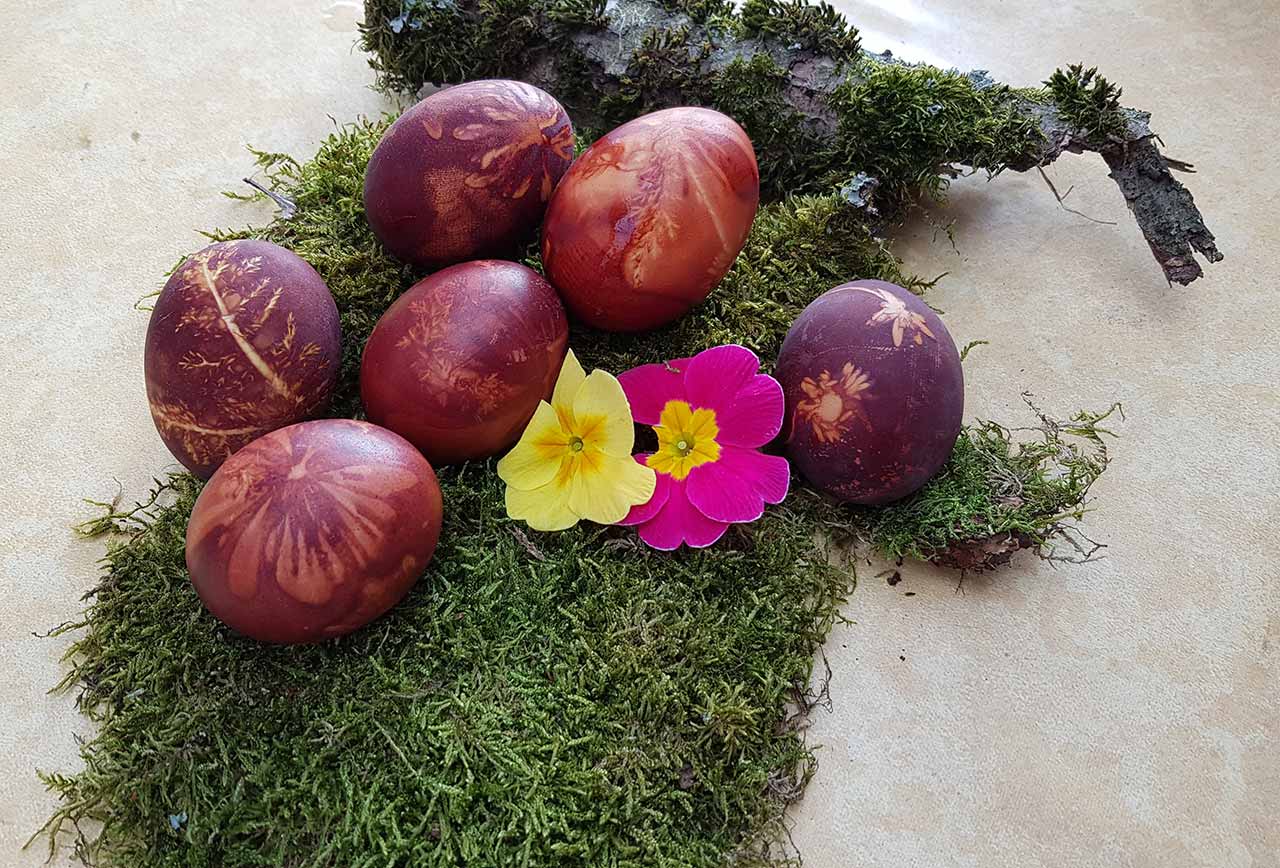 Ostereier färben mit Naturfarben – Sibylle Hasler