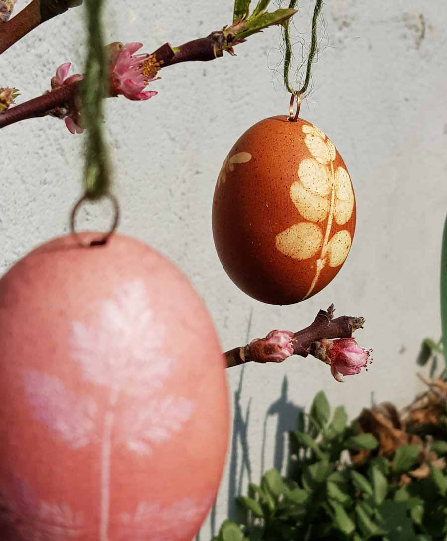 Ostereier färben mit Naturfarben – Sibylle Hasler