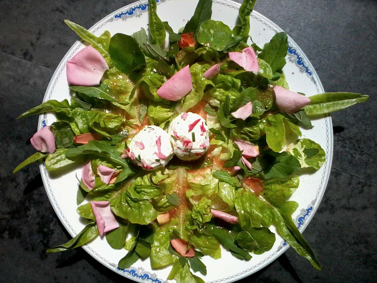Wirldkräutersalat – Kräuterführung von Sibylle Hasler